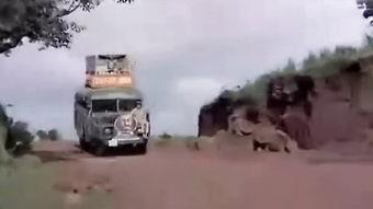 大篷车在线观看,穿越时空的奇幻之旅